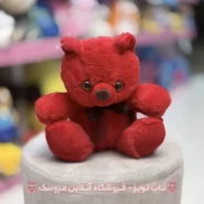 عروسک خرس راس قرمز 20 سانت